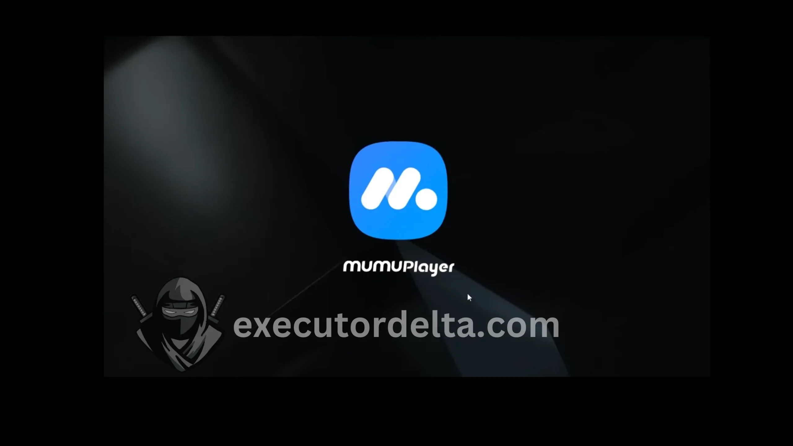 How to Download and Install Delta Executor on PC Using Android Emulator: Step-by-Step Guide (December 2025) 12 mumu player icon screenshot image