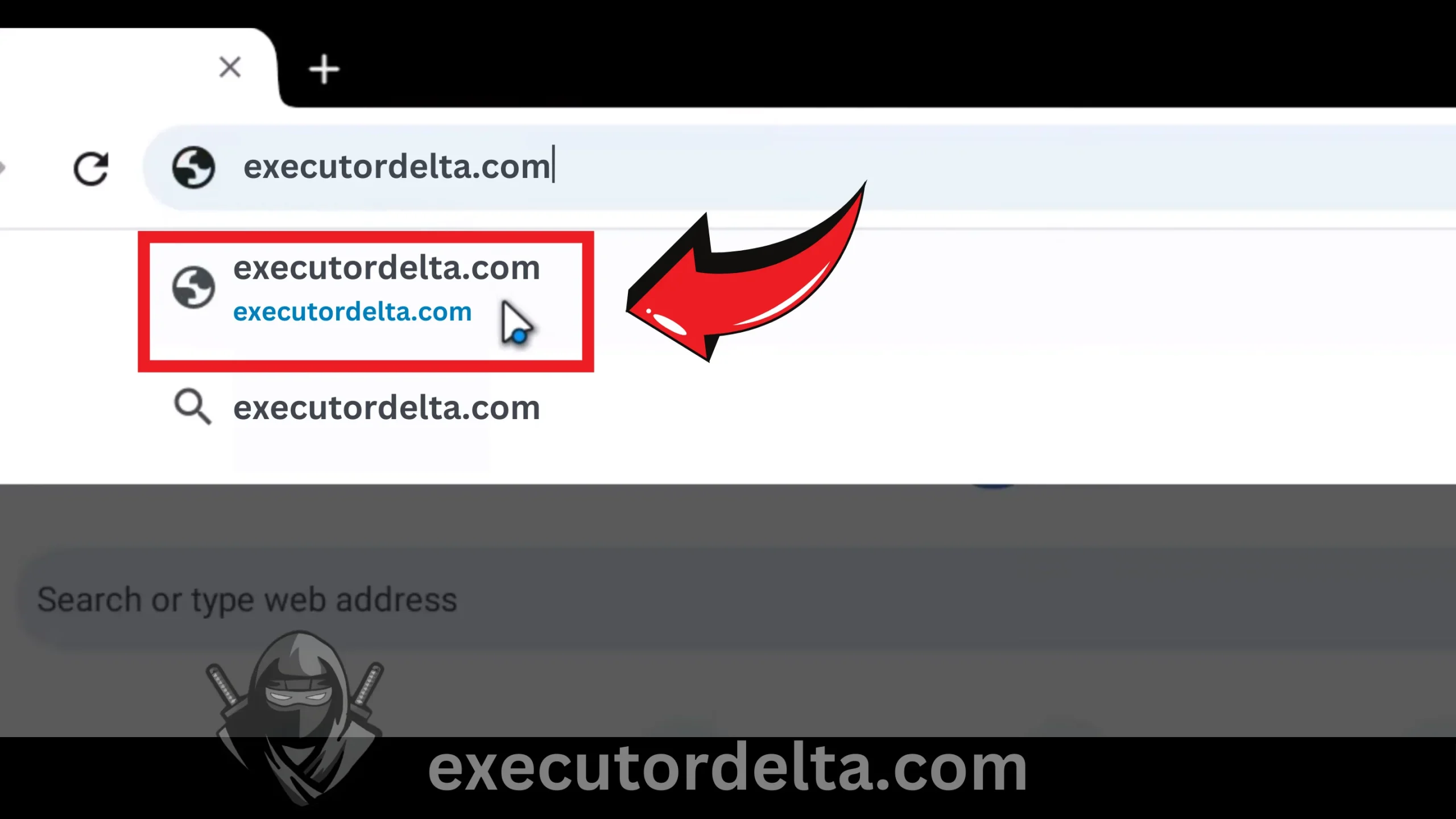 How to Download and Install Delta Executor on PC Using Android Emulator: Step-by-Step Guide (December 2025) 17 google search bar searching for executordelta.com screenshot image