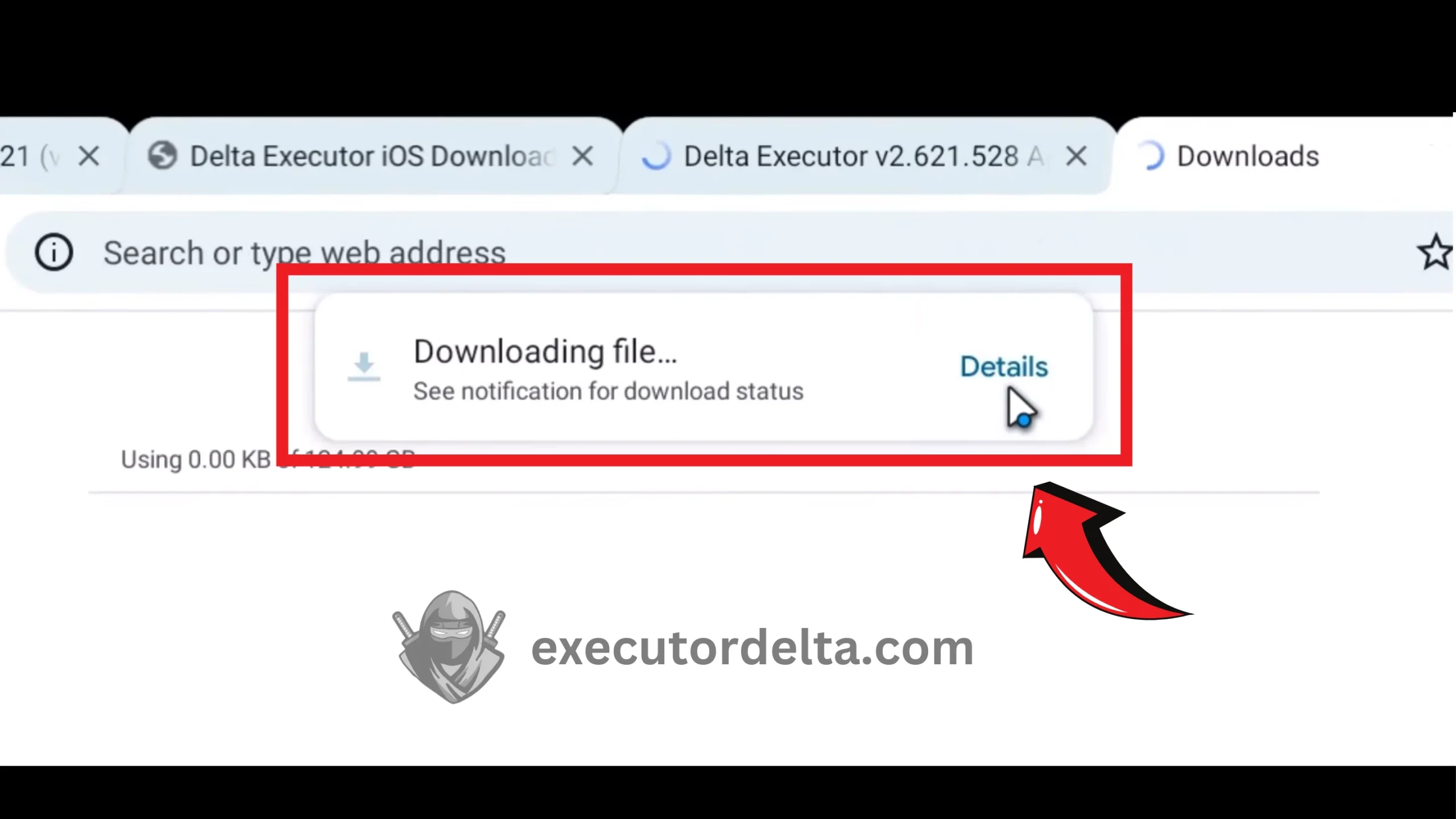 How to Download and Install Delta Executor on PC Using Android Emulator: Step-by-Step Guide (December 2025) 24 download for Delta PC completing screenshot image