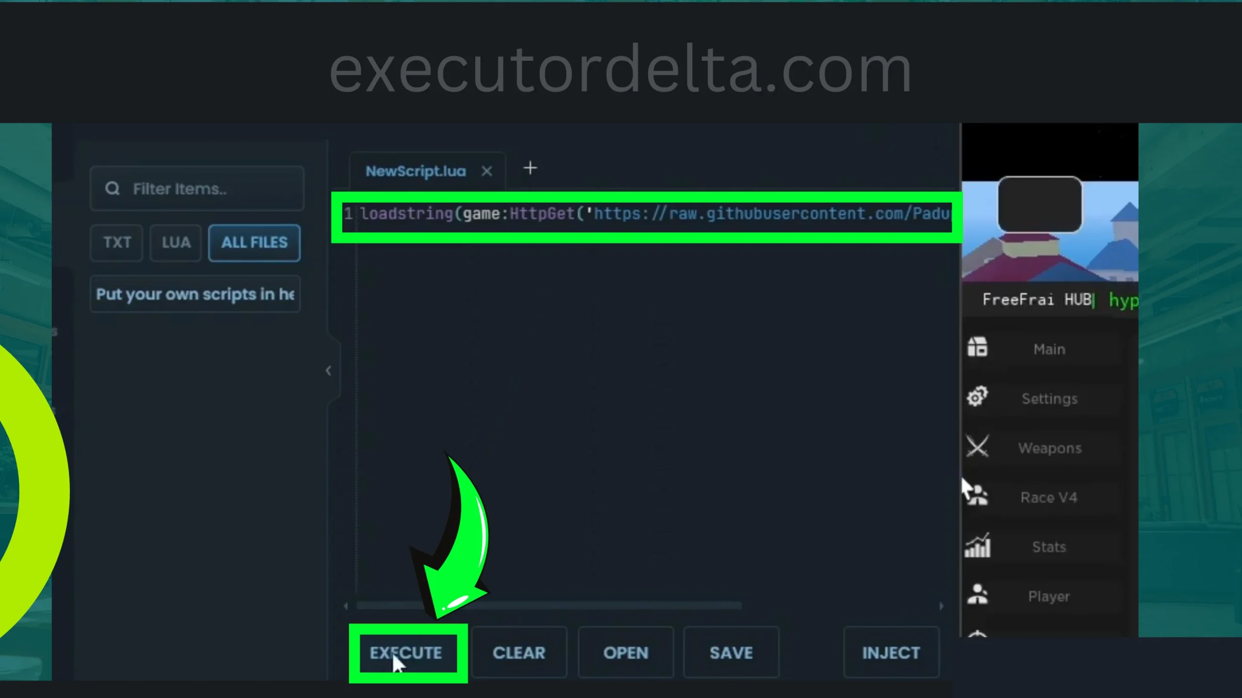 Delta script panel and execute button screenshot image