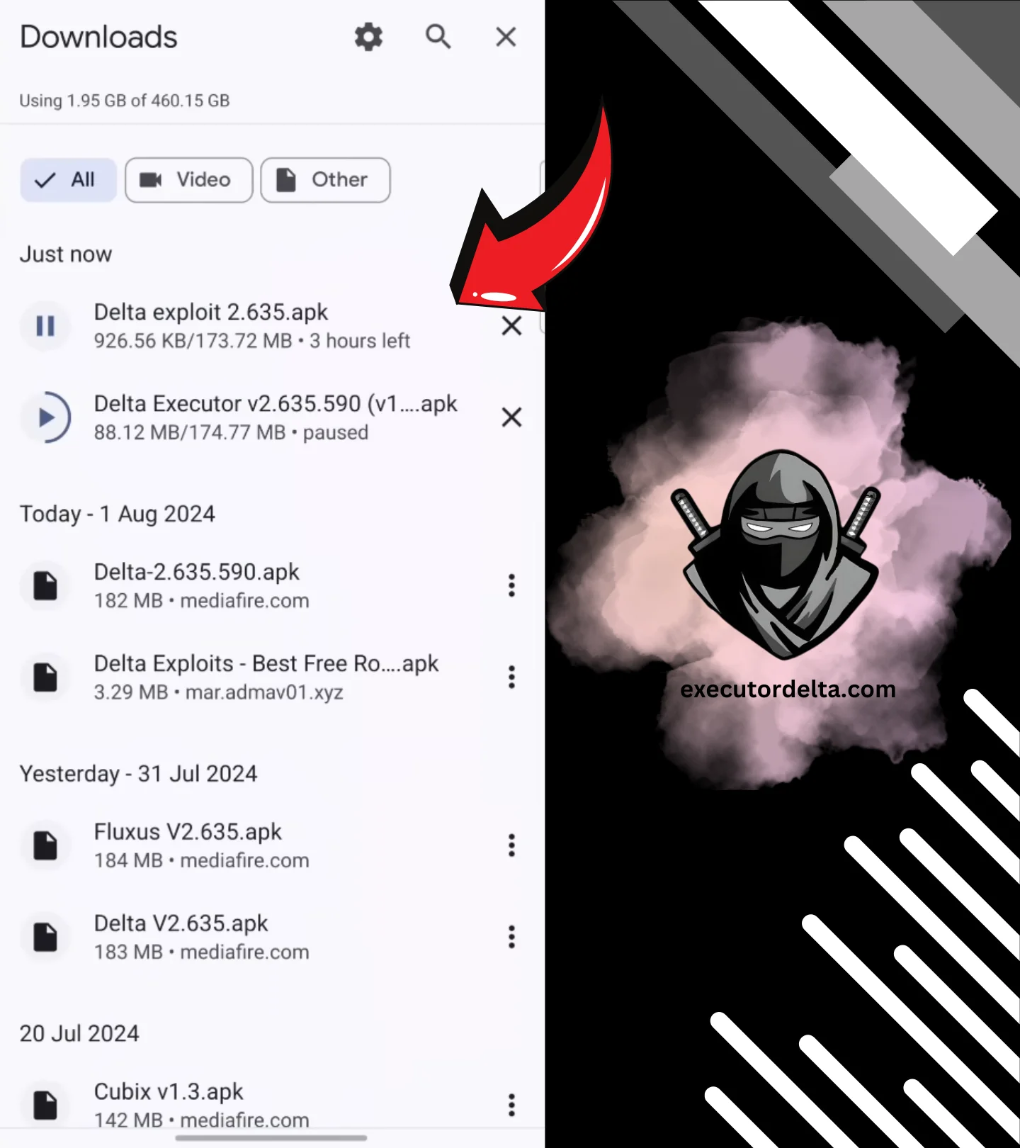 Delta executor downloading in downloads folder of android screenshot image