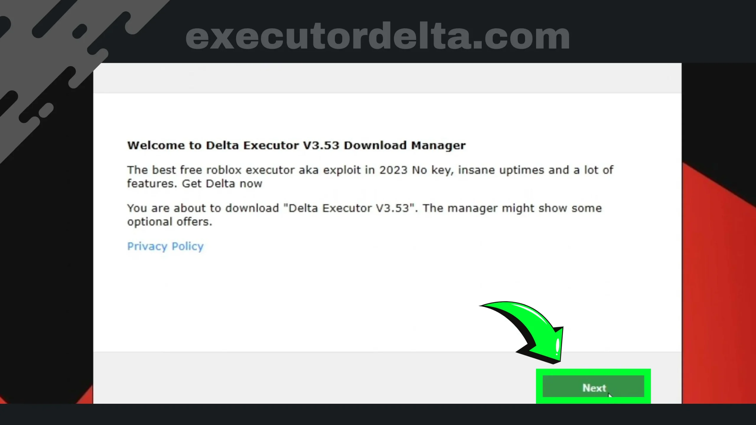 Delta executor download manager window screenshot image